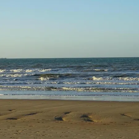 In With Sea * Nieuwpoort