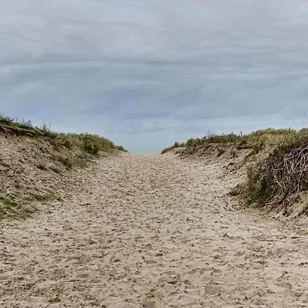 In With Sea * Nieuwpoort