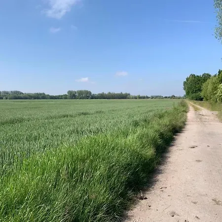 Zonnestraal B01 With A Location